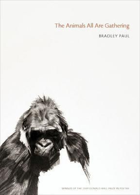 The Animals All Are Gathering By Bradley Paul 9780822961215
