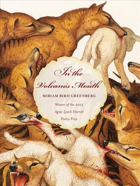 In the Volcano's Mouth By Miriam Bird Greenberg 9780822964339