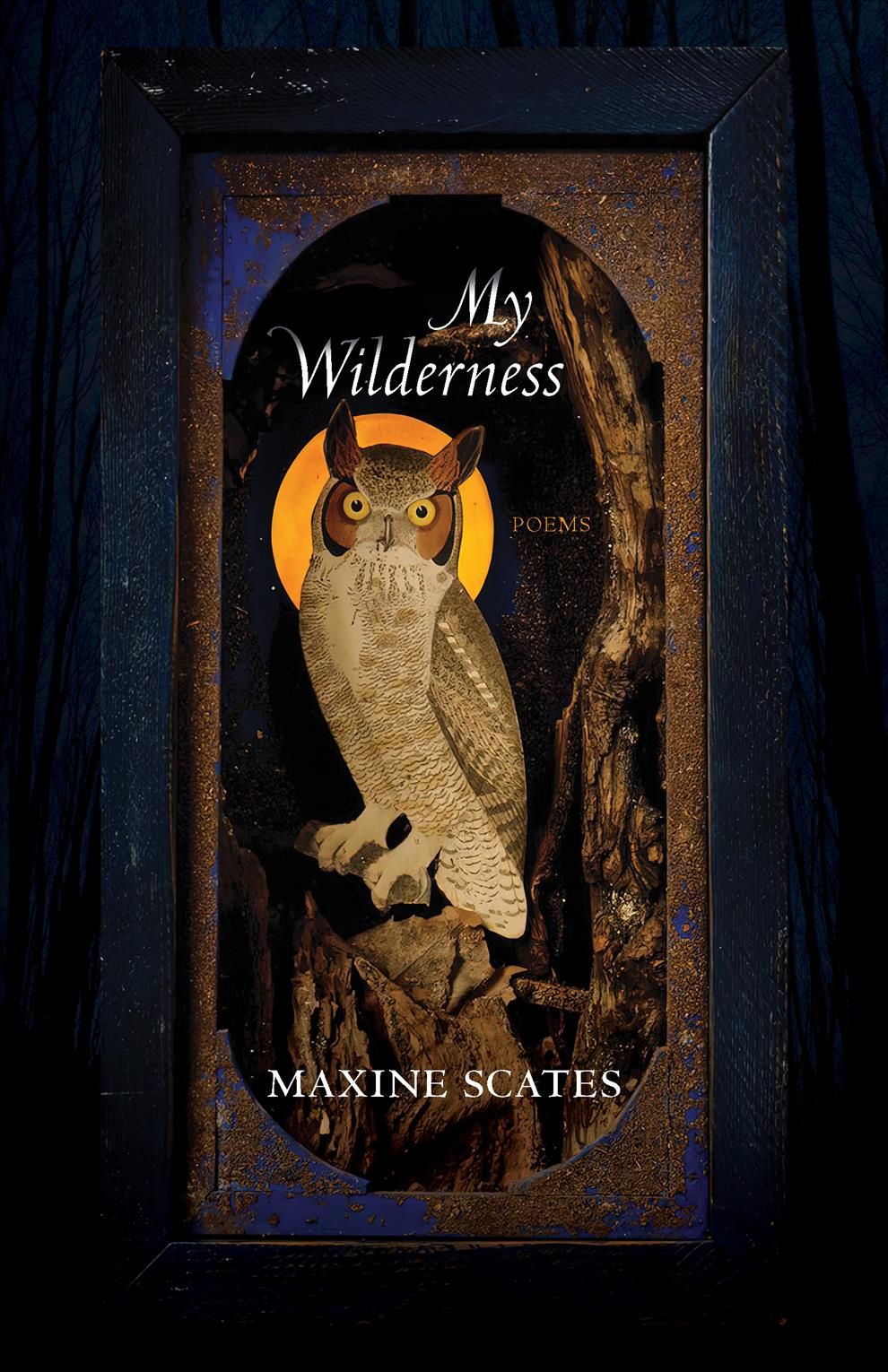 My Wilderness By Maxine Scates 9780822966630 (Paperback)