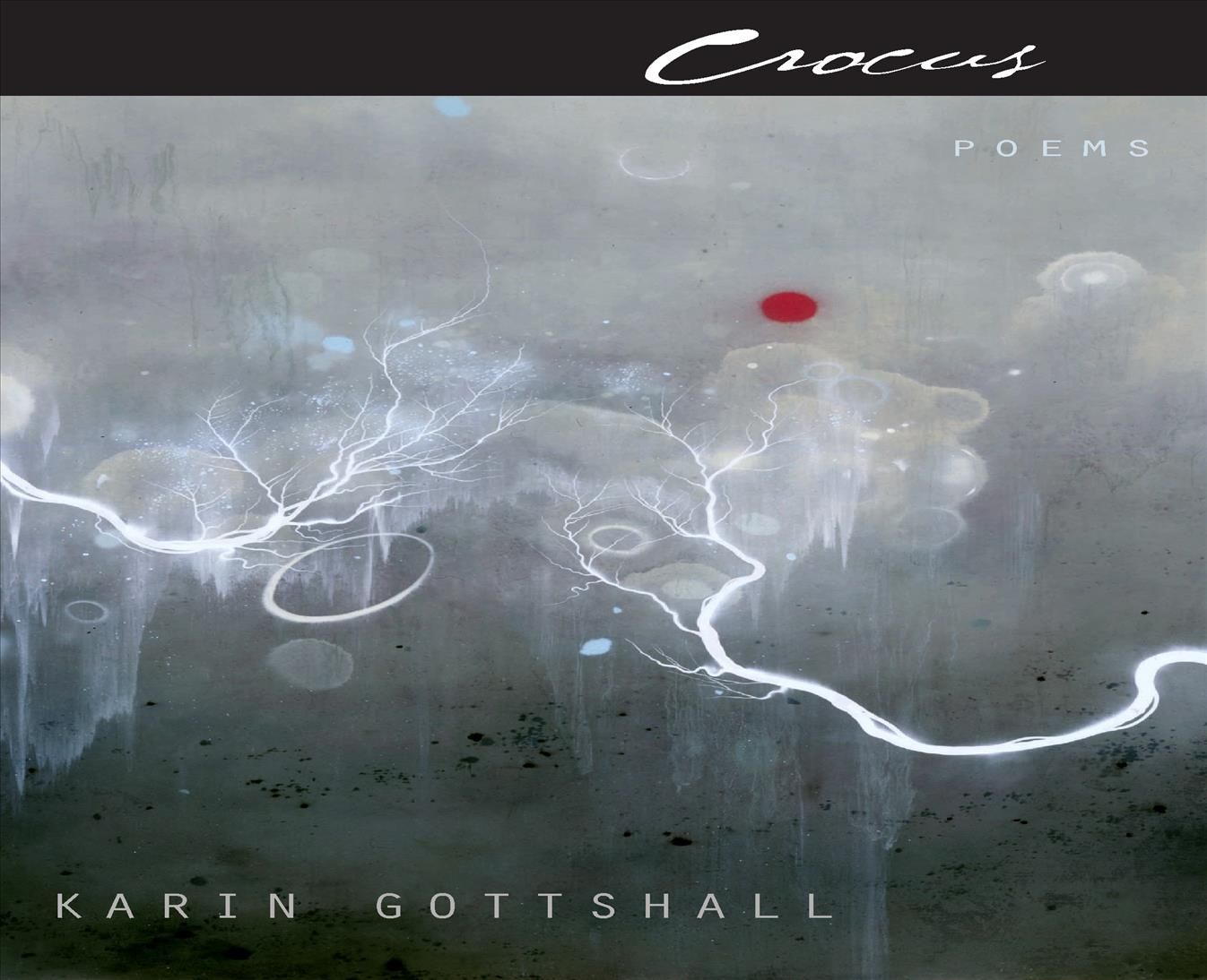 Crocus By Karin Gottshall 9780823227303 (Hardback)
