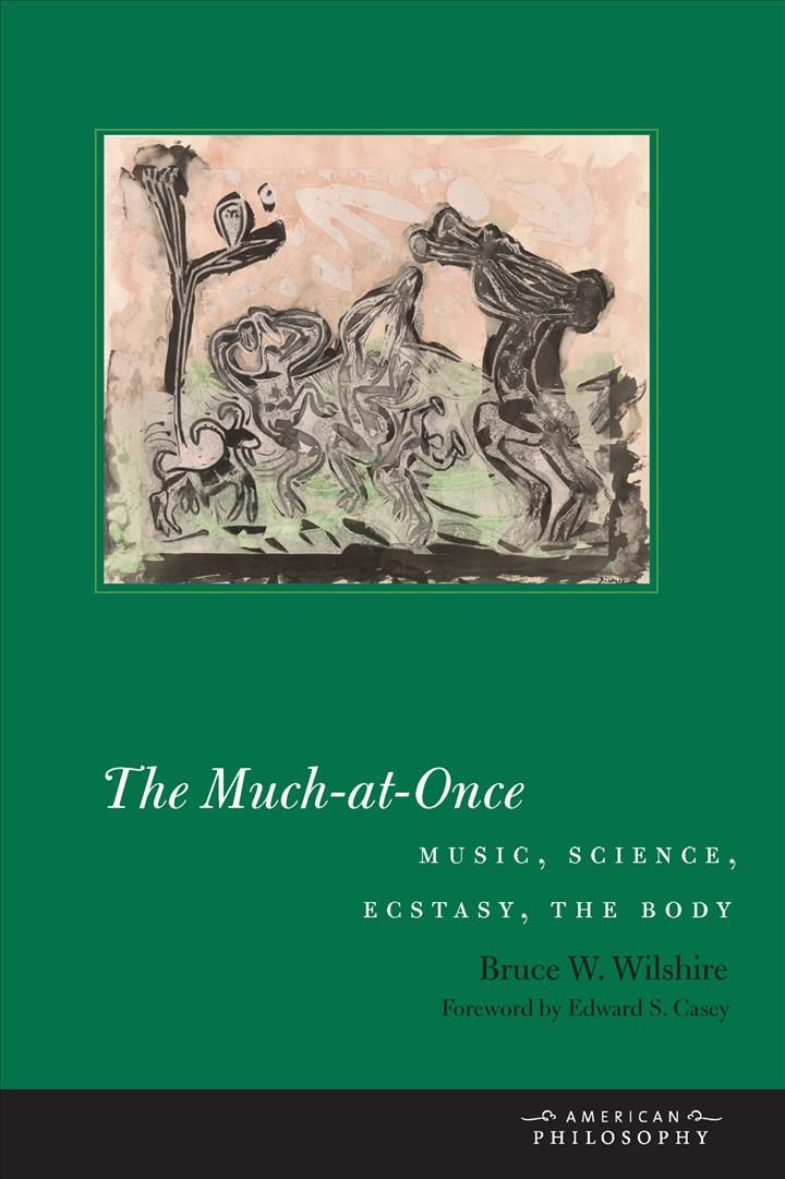 The Much-at-Once By Wilshire, Bruce W. 9780823268337 (Hardback)