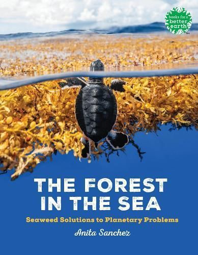 The Forest in the Sea By Anita Sanchez 9780823458769 (Paperback)