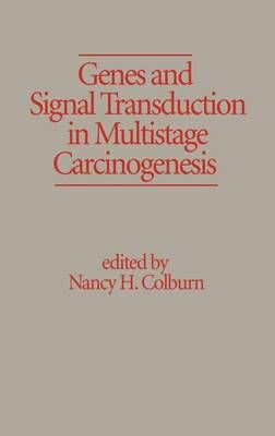 Genes and Signal Transduction in Multistage Carcinogenesis (Hardback)
