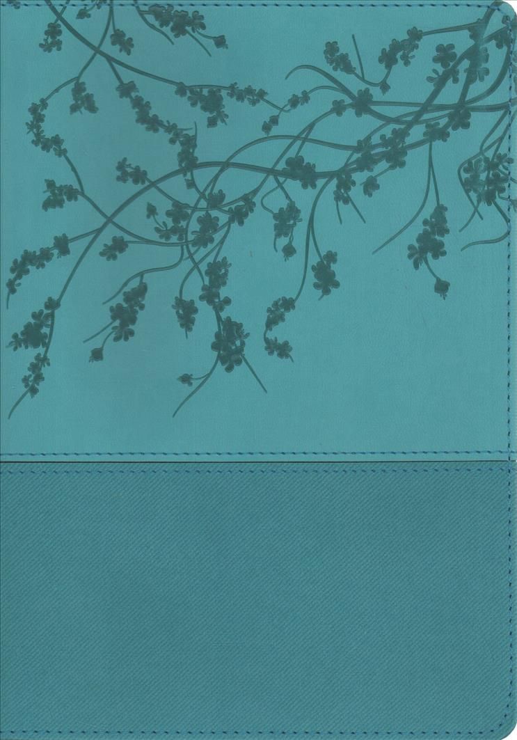 Biblia De La Mujer Conforme Al Corazón De Dios By Elizabeth George