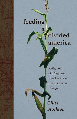 Feeding a Divided America By Gilles Stockton 9780826366108 (Hardback)
