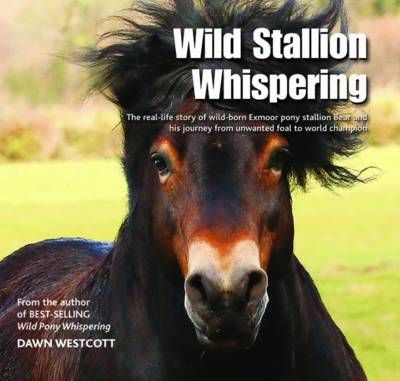 Wild Stallion Whispering By Dawn Westcott 9780857042934 (Hardback)