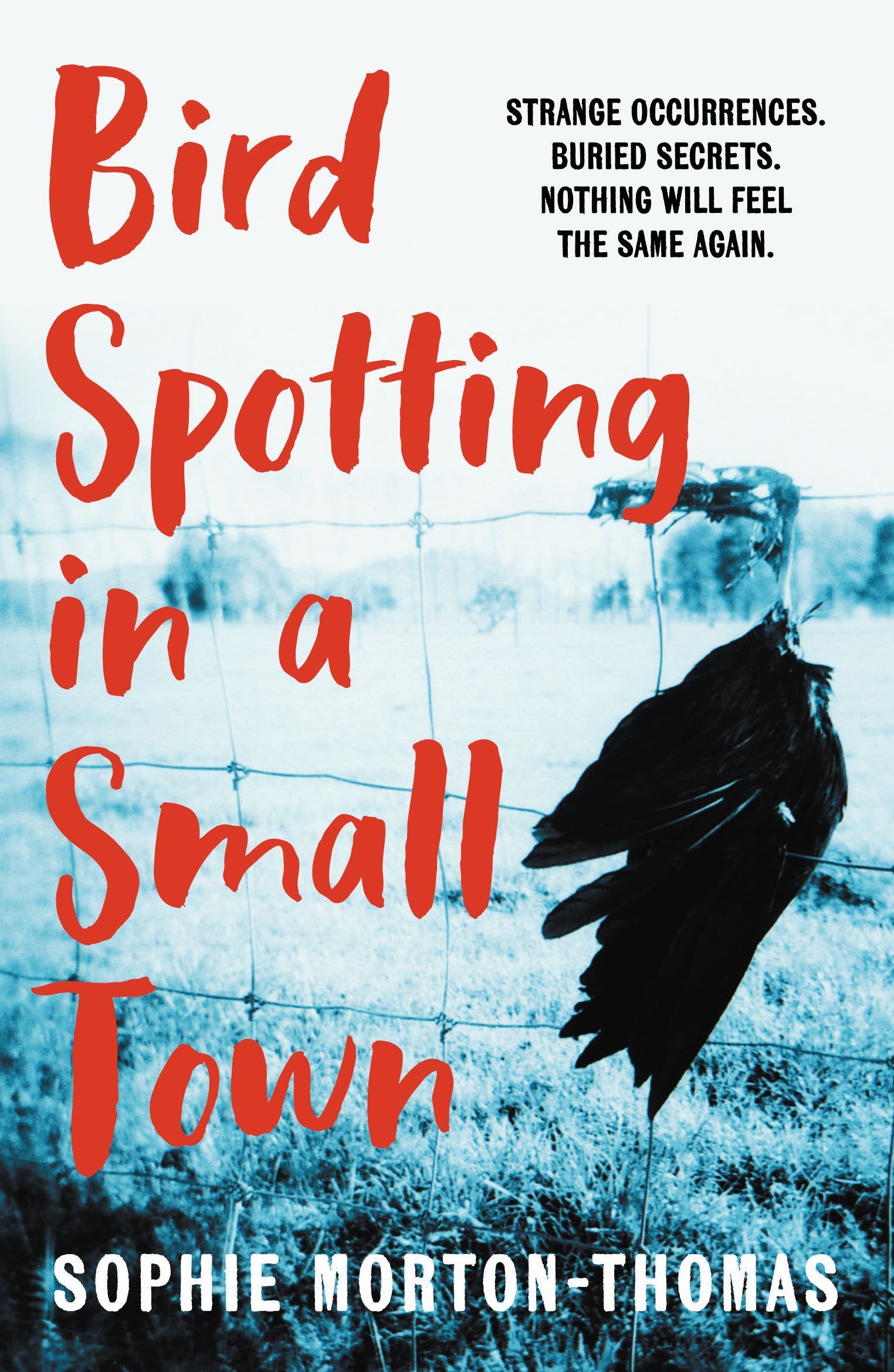 Bird Spotting In A Small Town By Sophie Morton-Thomas 9780857308535