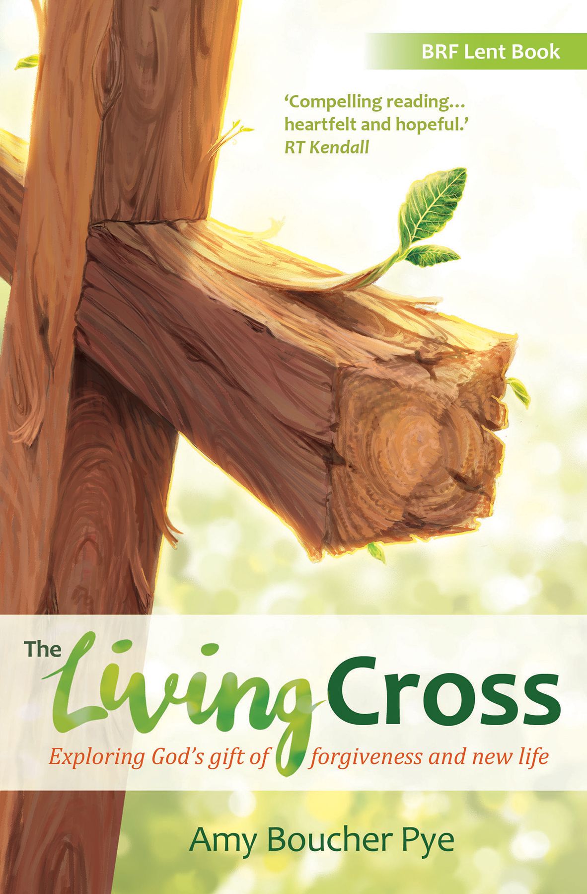 The Living Cross By Amy Boucher Pye 9780857465122 (Paperback)