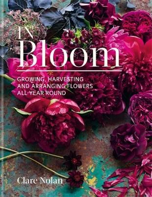 In Bloom By Clare Nolan 9780857833051 (Hardback)