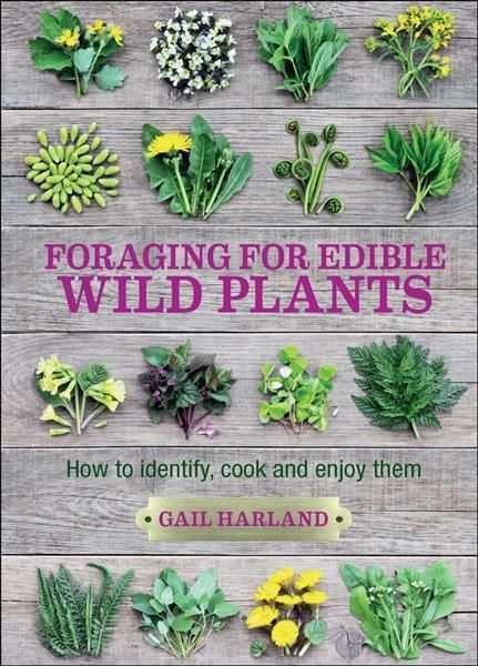 Foraging for Edible Wild Plants By Gail Harland 9780857845511