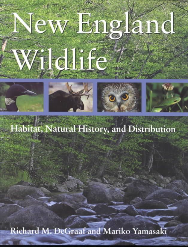 New England Wildlife By Richard M. DeGraaf, Mariko Yamasaki