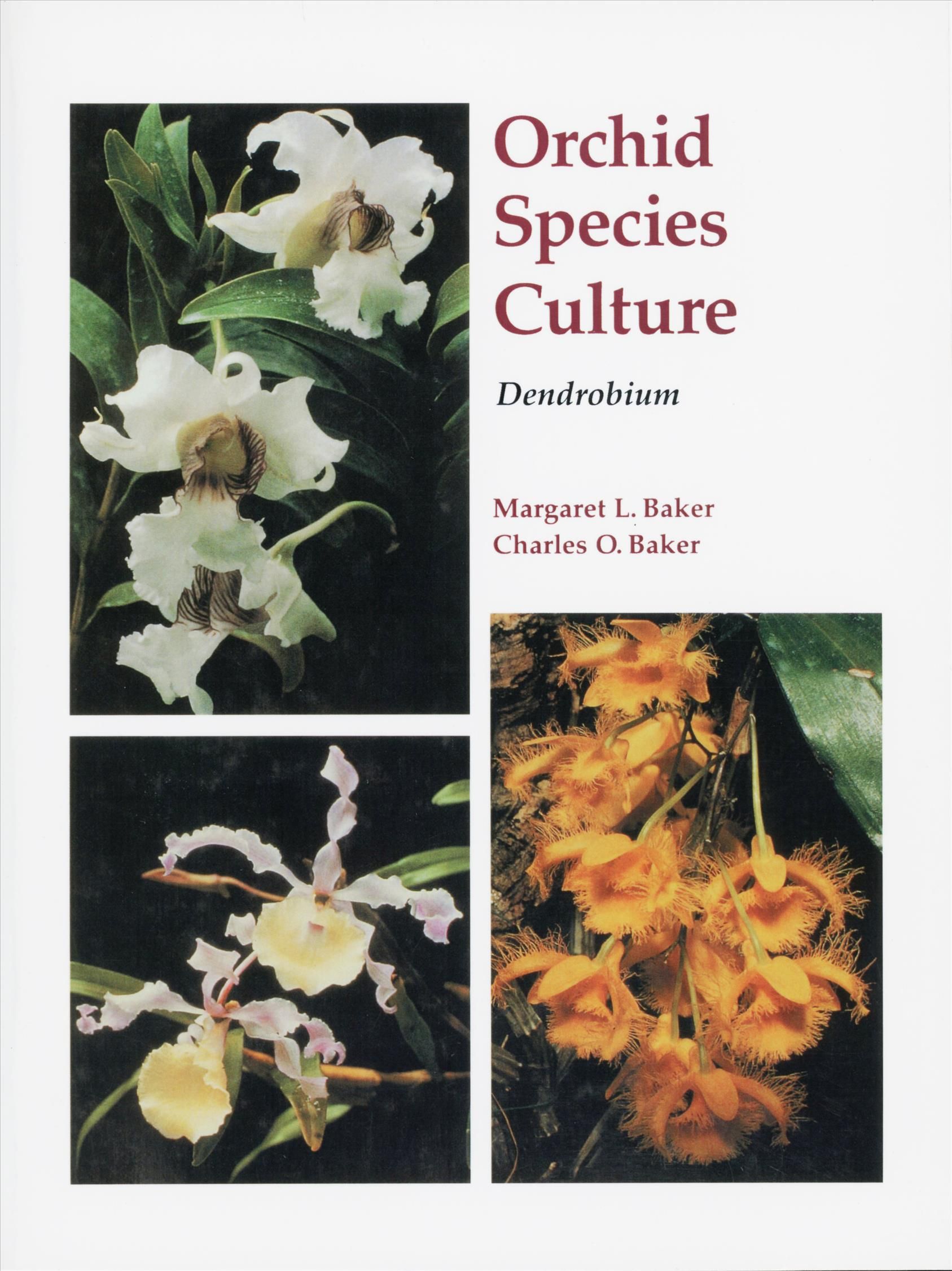 Dendrobium By Baker, Margaret 9780881923667 (Paperback)
