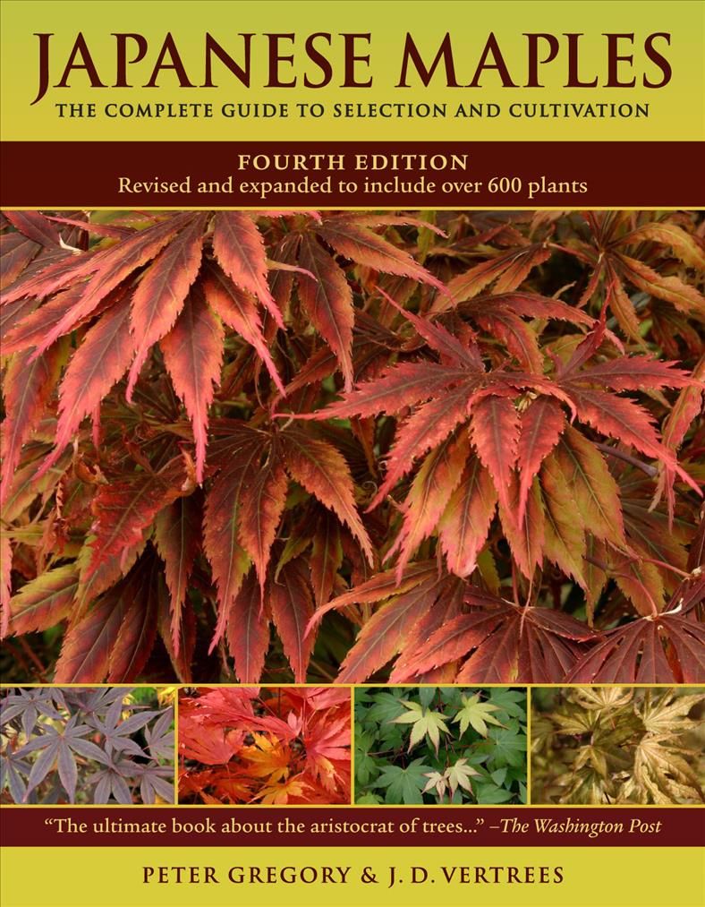 Japanese Maples By J. D. Vertrees, Peter Gregory 9780881929324