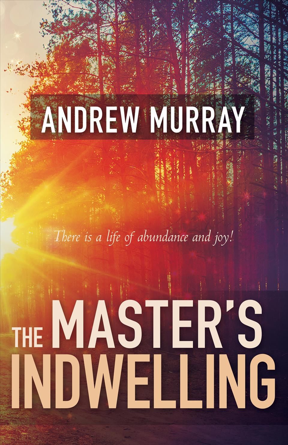 Master's Indwelling By A. Murray 9780883688434 (Paperback)