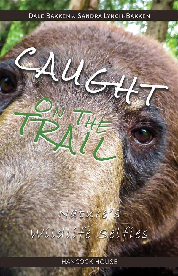 Caught on the Trail By Dale Bakken, Sandra Lynch-Bakken 9780888390585