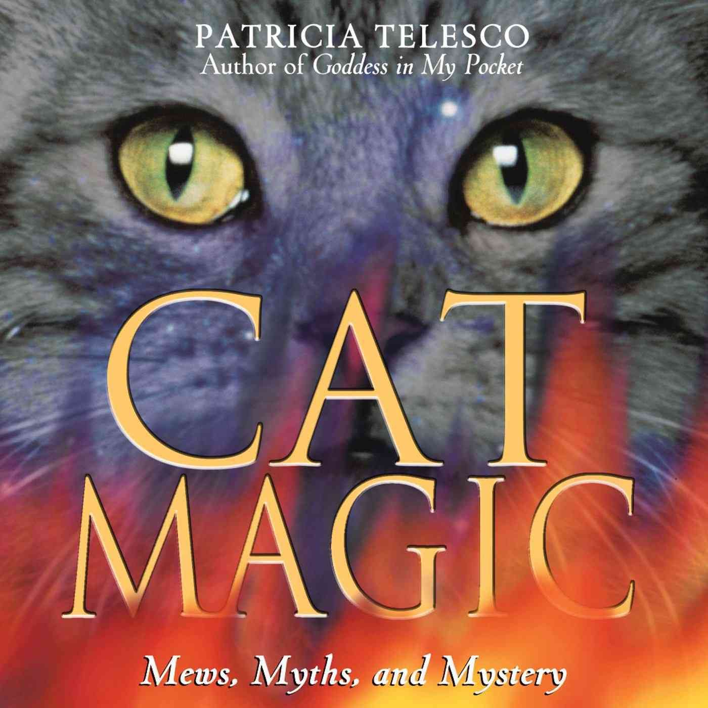Cat Magic By Patricia Telesco 9780892817740 (Paperback)