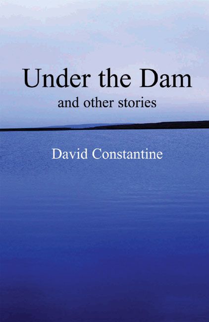 Under the Dam By David Constantine 9780954828011 (Paperback)