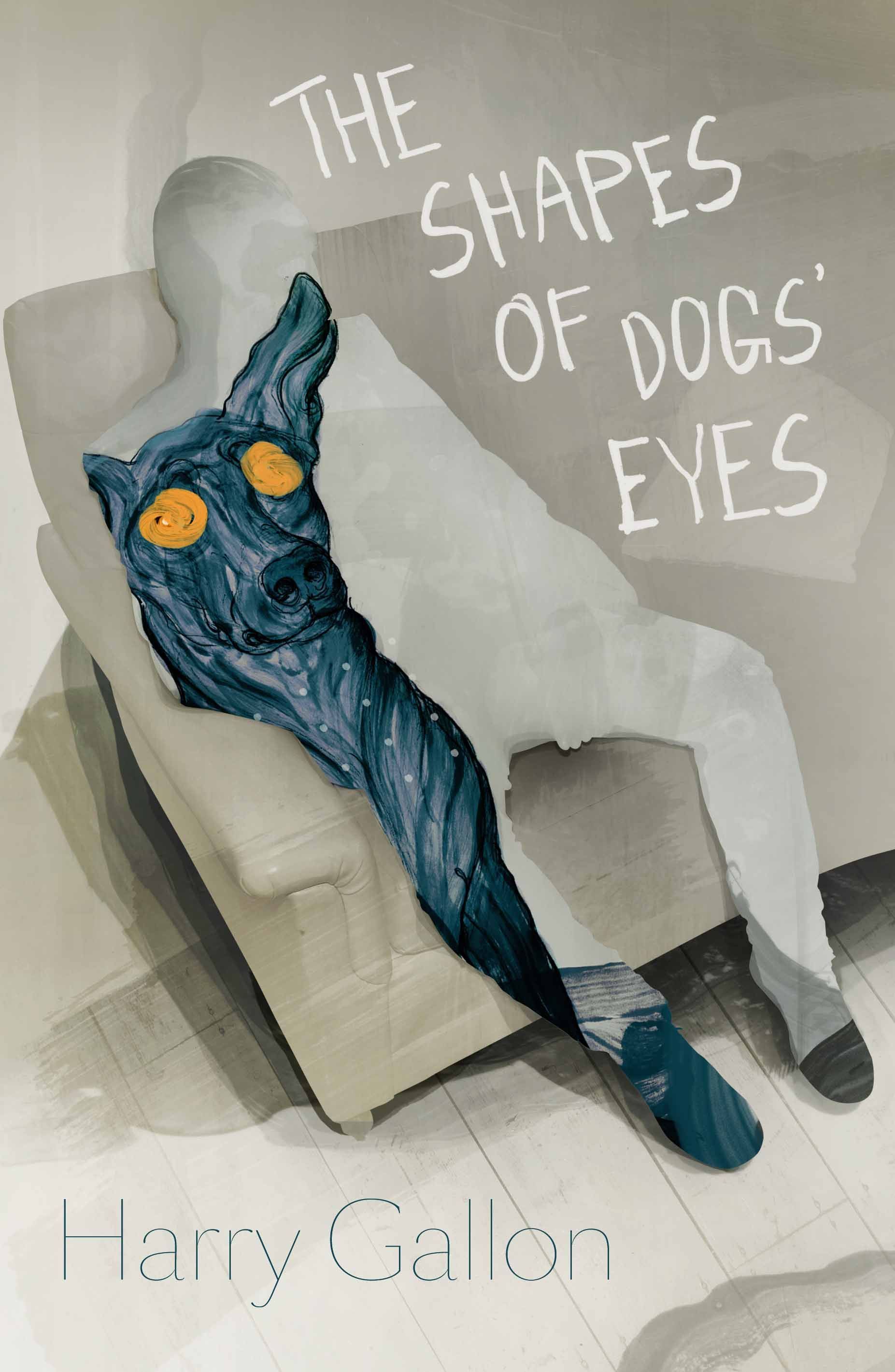 The Shapes of Dogs Eyes By Harry Gallon 9780957698598 (Hardback)