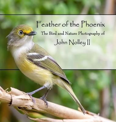 Feather of the Phoenix By Nolley 9780980157161 (Hardback)
