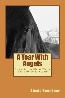 A Year With Angels By Alexis Roeckner 9780982132340 (Paperback)