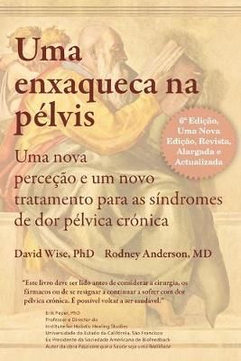 Uma Enxaqueca na pelvis By David Wise 9780983308287 (Paperback)