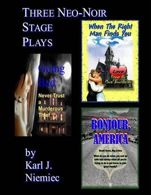 Three Neo-Noir Stage Plays By Karl J Niemiec 9780983366393 (Paperback)