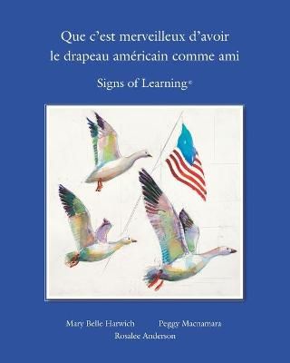 Que C?est Merveilleux D?avoir Le Drapeau Americain Comme Ami