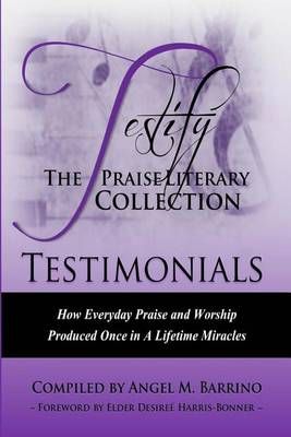 Testify 9780986133527 (Paperback)