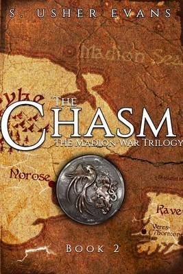 The Chasm By S Usher Evans 9780986298165 (Paperback)