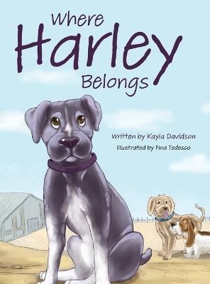 Where Harley Belongs By Davidson 9780986446450 (Hardback)