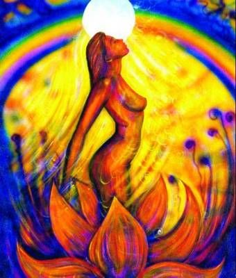Rebirth By Toni Carmine Salerno 9780987165114 (General merchandise)