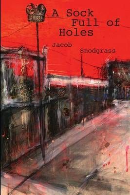 Sock Full of Holes By Jacob Snodgrass 9780988343061 (Paperback)