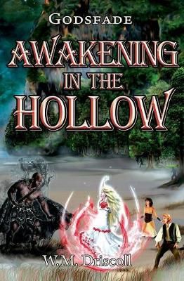 Awakening in the Hollow By Driscoll, W.M. 9780990406464 (Paperback)