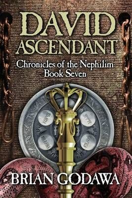 David Ascendant By Godawa, Brian 9780991143467 (Paperback)