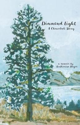 Diamond Light By Katherine Boyer 9780991300037 (Paperback)