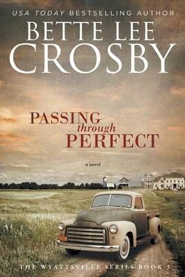 Passing through Perfect By Bette Lee Crosby 9780996080347 (Paperback)