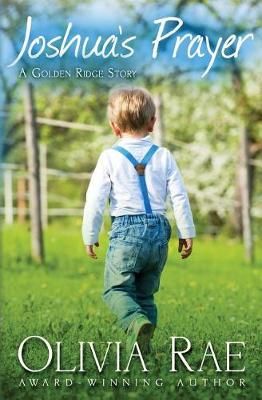 Joshua's Prayer By Olivia Rae 9780996156684 (Paperback)