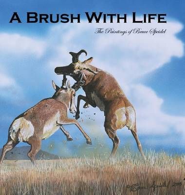 A Brush With Life By Bruce Speidel 9780996348072 (Hardback)