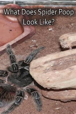 What Does Spider Poop Look Like? By Cauldron 9780996718998 (Paperback)