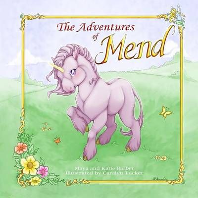 The Adventures of Mend 9780996825603 (Paperback)