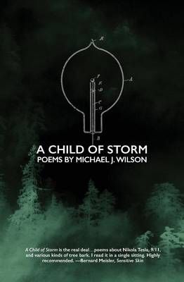 A Child of Storm: Poems by Michael J. Wilson By Wilson, Michael J.