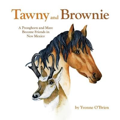 Tawny and Brownie By O'Brien 9780997395068 (Paperback)