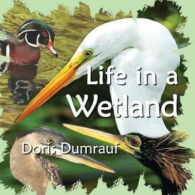 Life In A Wetland By Dumrauf, Doris, 9780997676723 (Paperback)