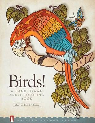 Birds! By Painted Harbor Press (author), R J Ridley (illustrator)