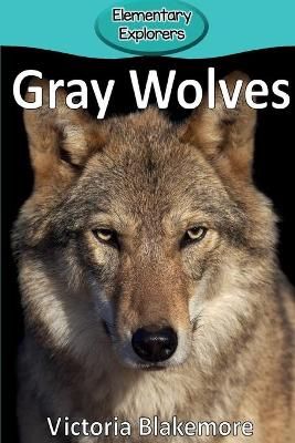 Gray Wolves By Victoria Blakemore 9780998824307 (Paperback)