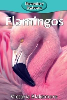 Flamingos By Victoria Blakemore 9780998824338 (Paperback)