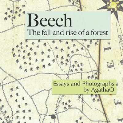 Beech By Pleun Clara Bouricius, Agathao 9780998961118 (Paperback)