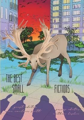 The Best Small Fictions Anthology 2021 9780999750155 (Paperback)