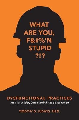 Dysfunctional Practices By Timothy D Ludwig 9780999861615 (Paperback)