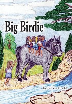 Big Birdie By Patricia Gould 9780999888407 (Paperback)